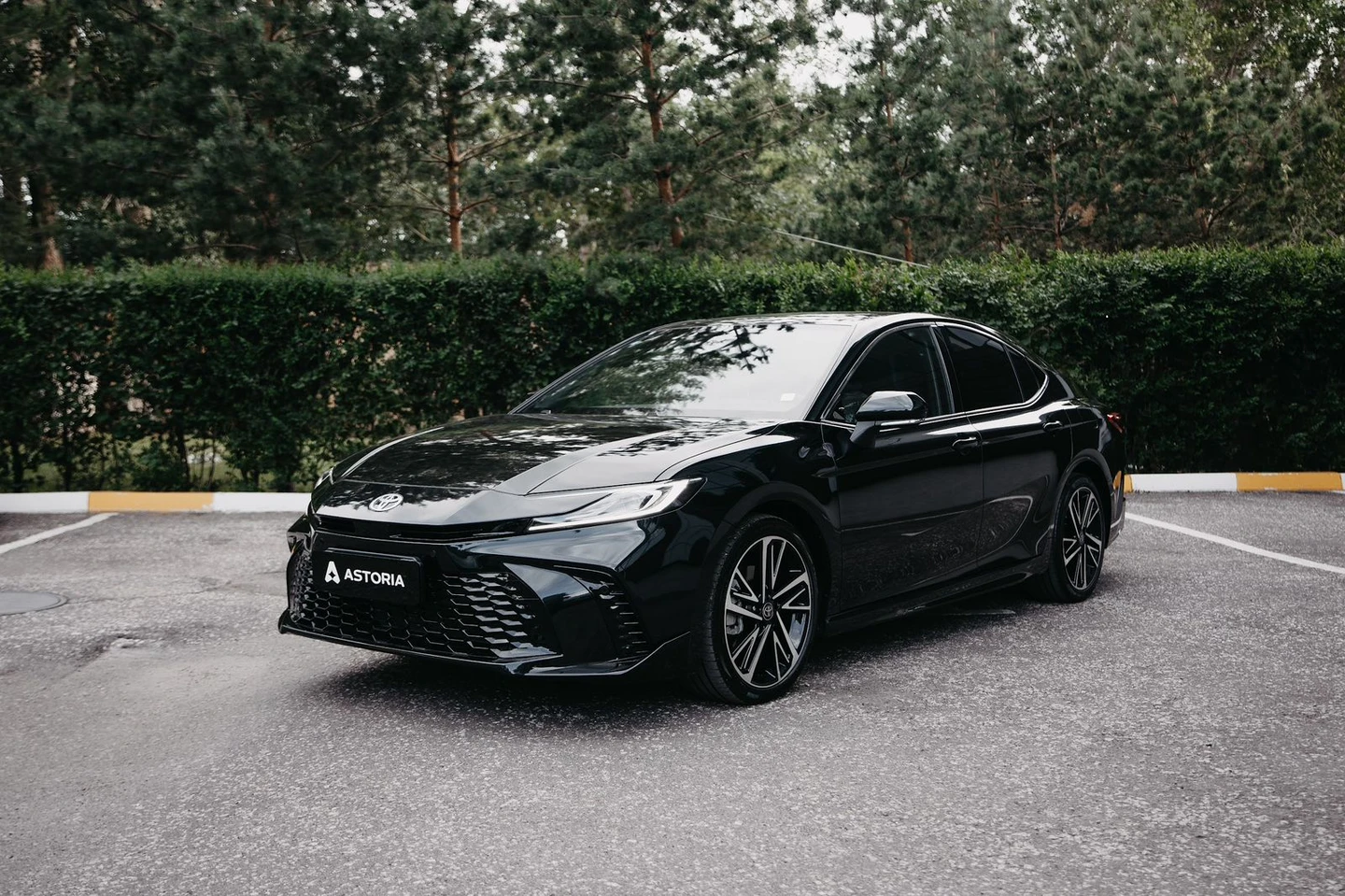 Toyota Camry 80